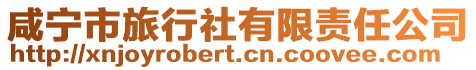 咸寧市旅行社有限責(zé)任公司