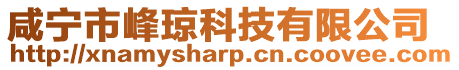 咸寧市峰瓊科技有限公司