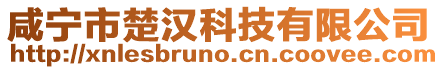 咸寧市楚漢科技有限公司