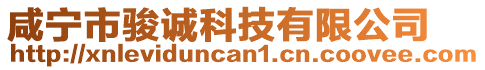 咸寧市駿誠科技有限公司