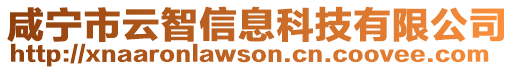 咸寧市云智信息科技有限公司
