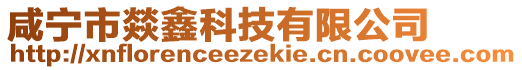 咸寧市燚鑫科技有限公司