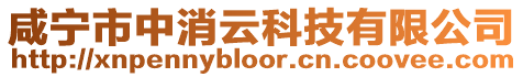 咸寧市中消云科技有限公司