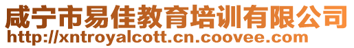 咸寧市易佳教育培訓有限公司