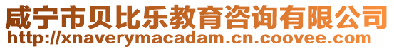 咸寧市貝比樂教育咨詢有限公司