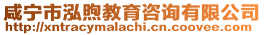 咸寧市泓煦教育咨詢有限公司