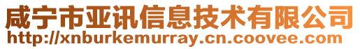 咸寧市亞訊信息技術(shù)有限公司