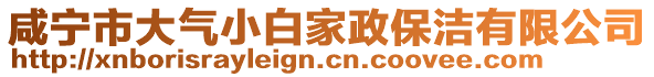 咸寧市大氣小白家政保潔有限公司