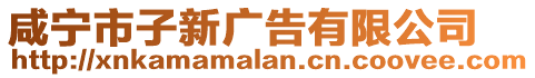 咸寧市子新廣告有限公司