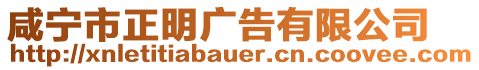 咸寧市正明廣告有限公司