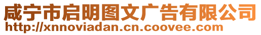 咸寧市啟明圖文廣告有限公司