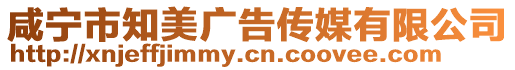 咸寧市知美廣告?zhèn)髅接邢薰? style=