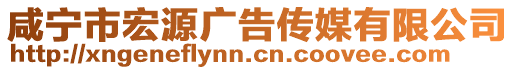 咸寧市宏源廣告?zhèn)髅接邢薰? style=