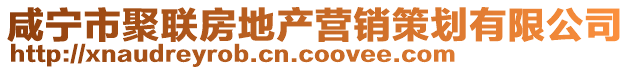 咸寧市聚聯(lián)房地產(chǎn)營(yíng)銷策劃有限公司