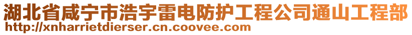 湖北省咸寧市浩宇雷電防護(hù)工程公司通山工程部