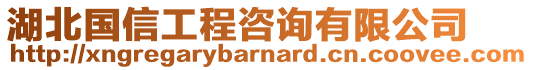 湖北國信工程咨詢有限公司