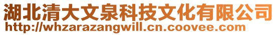 湖北清大文泉科技文化有限公司