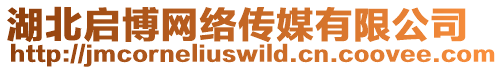 湖北啟博網(wǎng)絡(luò)傳媒有限公司