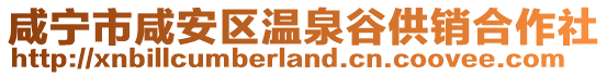 咸寧市咸安區(qū)溫泉谷供銷合作社