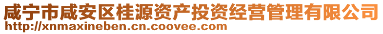 咸寧市咸安區(qū)桂源資產(chǎn)投資經(jīng)營管理有限公司