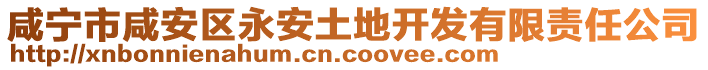 咸寧市咸安區(qū)永安土地開發(fā)有限責(zé)任公司