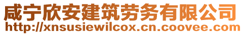 咸寧欣安建筑勞務(wù)有限公司