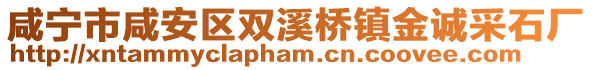 咸寧市咸安區(qū)雙溪橋鎮(zhèn)金誠采石廠