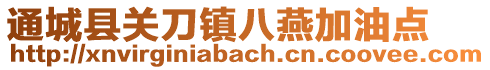 通城縣關(guān)刀鎮(zhèn)八燕加油點(diǎn)