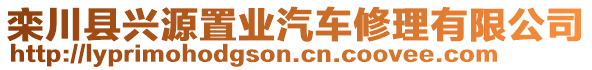 欒川縣興源置業(yè)汽車(chē)修理有限公司