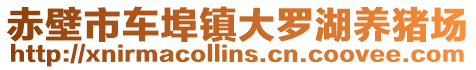 赤壁市車埠鎮(zhèn)大羅湖養(yǎng)豬場(chǎng)