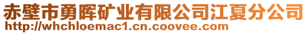 赤壁市勇暉礦業(yè)有限公司江夏分公司