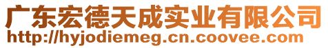 廣東宏德天成實業(yè)有限公司