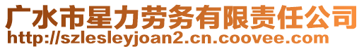 廣水市星力勞務(wù)有限責(zé)任公司