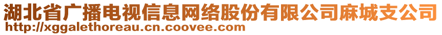 湖北省廣播電視信息網(wǎng)絡(luò)股份有限公司麻城支公司