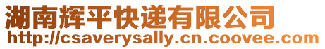 湖南輝平快遞有限公司