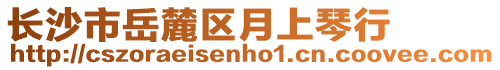 長沙市岳麓區月上琴行