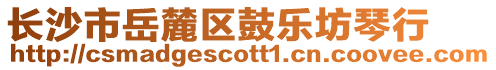長沙市岳麓區鼓樂坊琴行