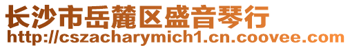 長沙市岳麓區盛音琴行