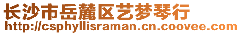 長沙市岳麓區(qū)藝夢琴行