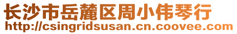 長沙市岳麓區周小偉琴行