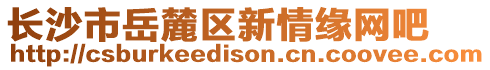 長沙市岳麓區新情緣網吧