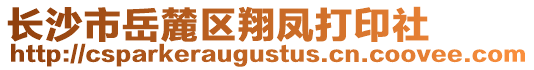 長沙市岳麓區(qū)翔鳳打印社