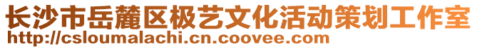 長(zhǎng)沙市岳麓區(qū)極藝文化活動(dòng)策劃工作室