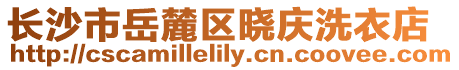 長沙市岳麓區(qū)曉慶洗衣店