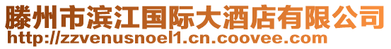 滕州市濱江國際大酒店有限公司