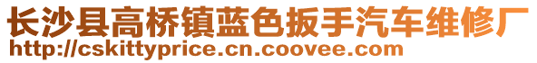 長(zhǎng)沙縣高橋鎮(zhèn)藍(lán)色扳手汽車維修廠