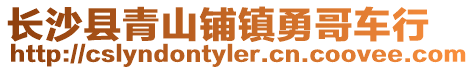 長(zhǎng)沙縣青山鋪鎮(zhèn)勇哥車行