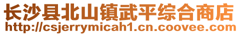 長沙縣北山鎮武平綜合商店