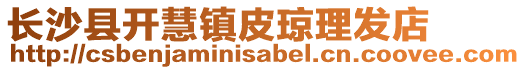 長沙縣開慧鎮皮瓊理發店
