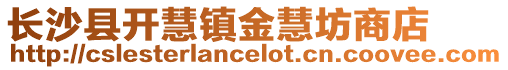 長沙縣開慧鎮金慧坊商店